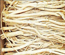 Astragalus Extract 0.3%~0.5% Astragalosides